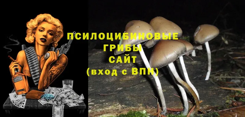 Псилоцибиновые грибы MAGIC MUSHROOMS  Туймазы 